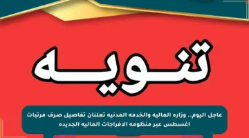 عاجل اليوم.. وزارة المالية والخدمة المدنية تعلنان تفاصيل صرف مرتبات أغسطس عبر منظومة الإفراجات المالية الجديدة